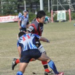 nb_20111113430